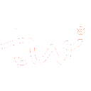Twill